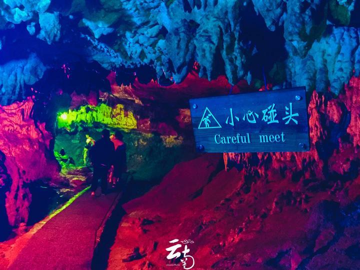 急速变色龙